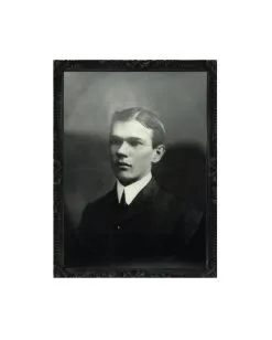 Effektbild Dämon -Halloween Verkaufsgeschäft daemonen hologramm bild daemonisches wackelbild halloween portrait 24871 2 1