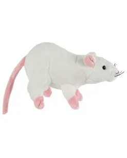 Weiße Plüschratte 19cm 7 Weiße Plüschratte 19cm -Halloween Verkaufsgeschäft kuscheltier ratte 19cm weiss plueschratte fuer kinder geschenkartikel plueschtier ratte 29709 2