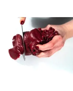 Realistisches Menschenherz Aus Gelatine -Halloween Verkaufsgeschäft schneidbares menschenherz aus gelatine sliceable human heart made of gelatin halloween deko 52573 03
