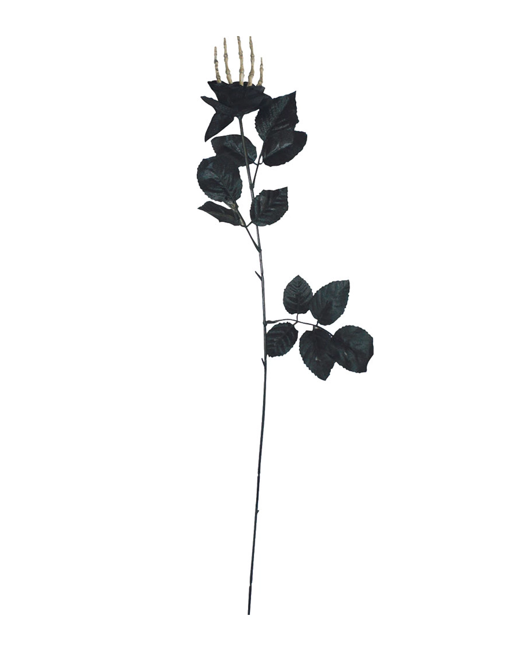 Schwarze Rose Mit Knochenhand 3 Schwarze Rose Mit Knochenhand