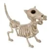 Hunde Skelett Mit Knochen 27cm 1 Hunde Skelett Mit Knochen 27cm -Halloween Verkaufsgeschäft skelett hund mit knochen hunde skelett mit knochen skeleton dog with bone 52641 01