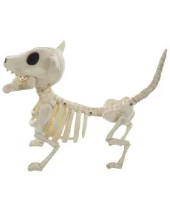 Hunde Skelett Mit Knochen 27cm -Halloween Verkaufsgeschäft skelett hund mit knochen hunde skelett mit knochen skeleton dog with bone 52641 03