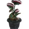 Zubeißende Venus Fliegenfalle 36cm -Halloween Verkaufsgeschäft zubeissende venus fliegenfalle halloween animatronic closing venus fly trap halloween animatronic 39674 02
