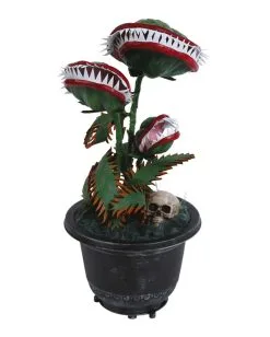 Zubeißende Venus Fliegenfalle 36cm